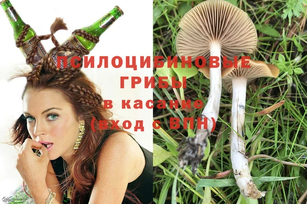 амфетамин Елизово