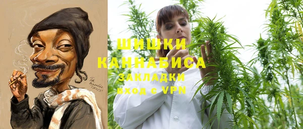 МДМА Ельня