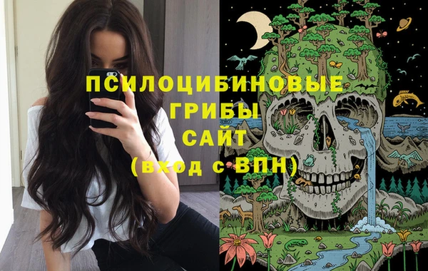 прущие крисы Елабуга